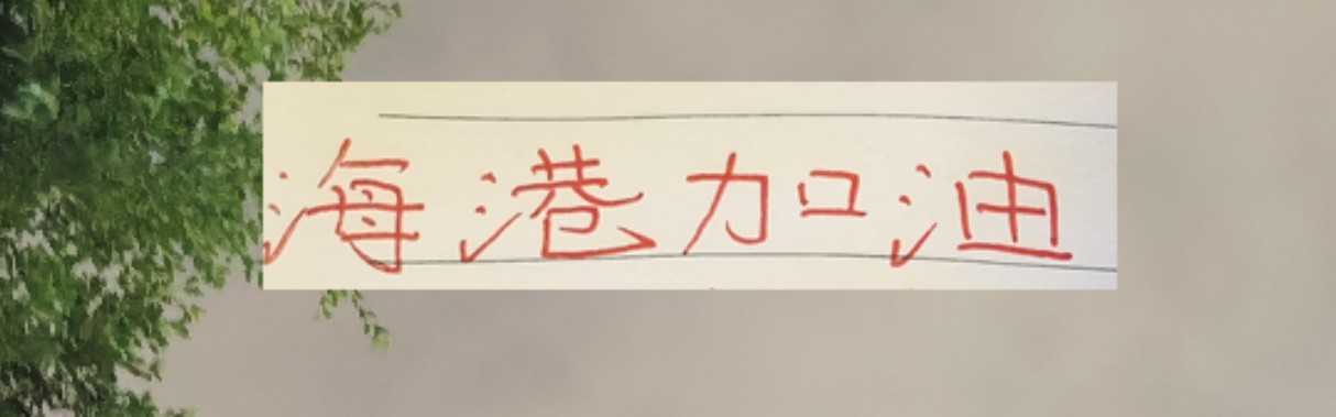 开云平台-海港也算是把政策用到极致！有五外援 有港澳台 还有归化球员